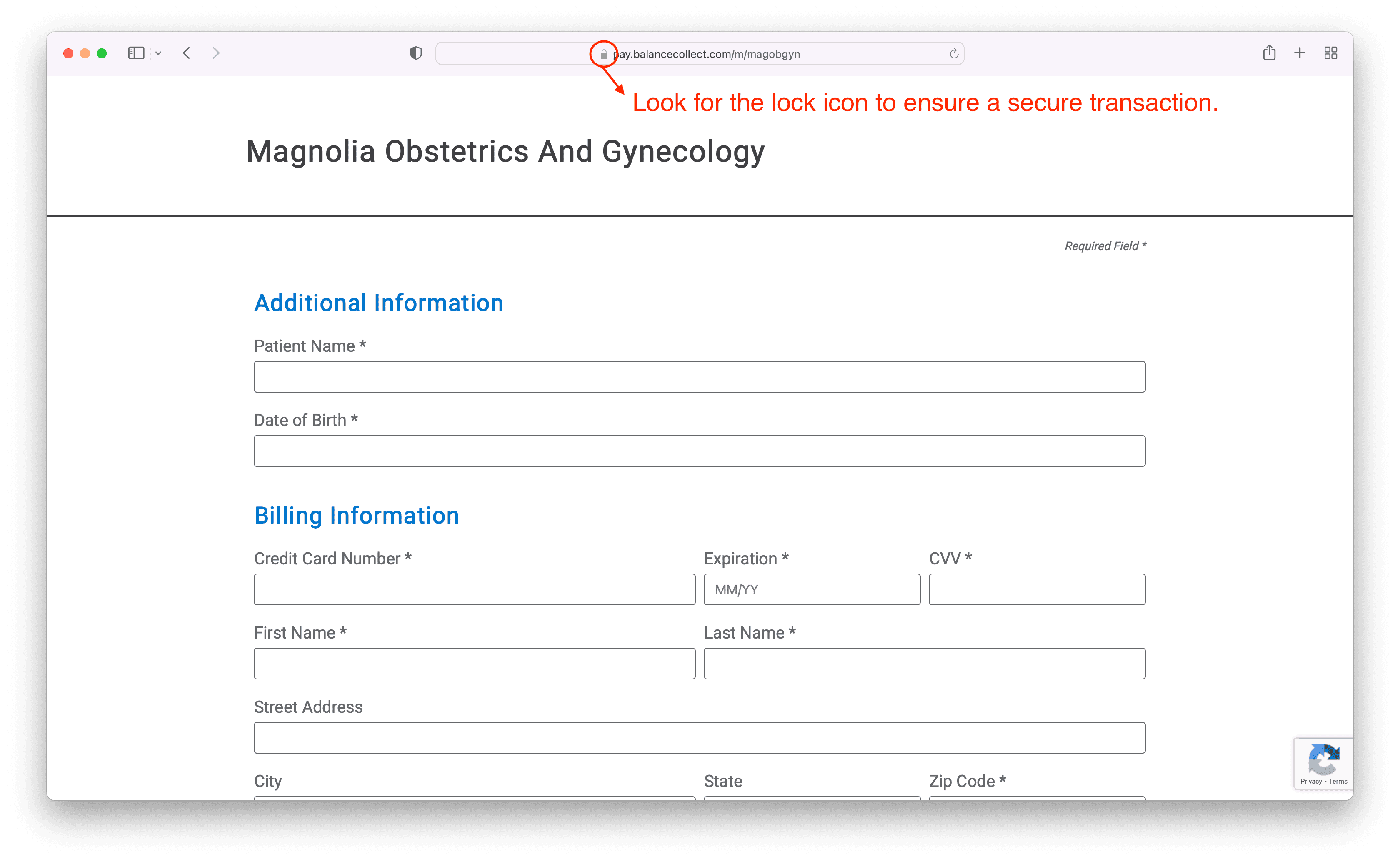 Magnolia-Payment-Safari Secure Payments with Rectangle Health